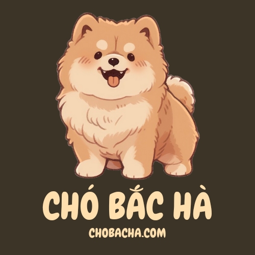 chobacha.com